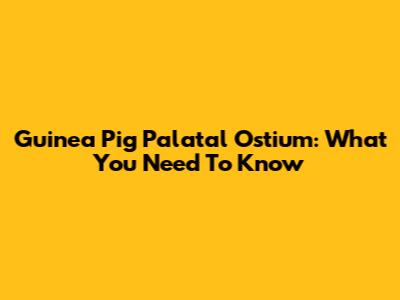 Guinea Pig Palatal Ostium: What You Need To Know