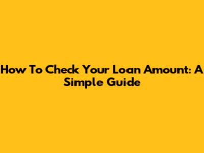 How To Check Your Loan Amount: A Simple Guide