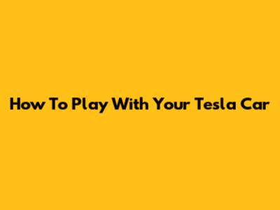 How To Play With Your Tesla Car
