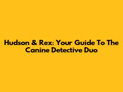Hudson & Rex: Your Guide To The Canine Detective Duo