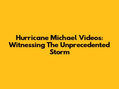 Hurricane Michael Videos: Witnessing The Unprecedented Storm