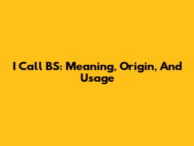 I Call BS: Meaning, Origin, And Usage