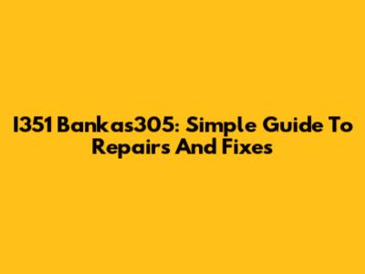 I351 Bankas305: Simple Guide To Repairs And Fixes