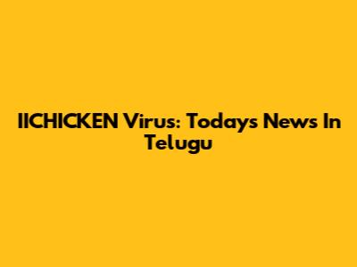 IICHICKEN Virus: Today's News In Telugu