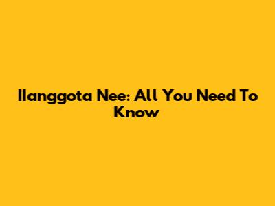 IIanggota Nee: All You Need To Know