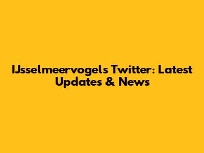 IJsselmeervogels Twitter: Latest Updates & News