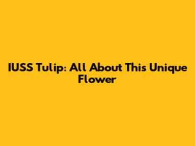IUSS Tulip: All About This Unique Flower