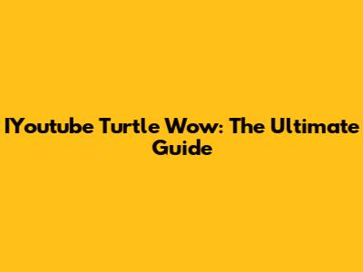 IYoutube Turtle Wow: The Ultimate Guide