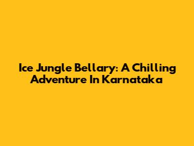 Ice Jungle Bellary: A Chilling Adventure In Karnataka