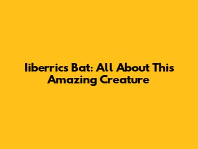 Iiberrics Bat: All About This Amazing Creature