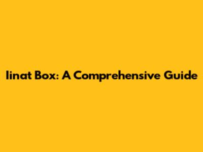 Iinat Box: A Comprehensive Guide