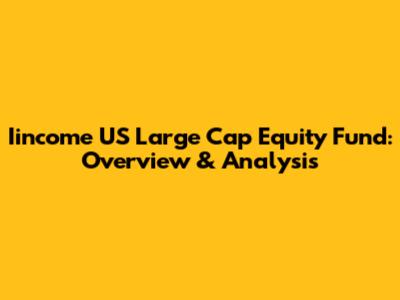 Iincome US Large Cap Equity Fund: Overview & Analysis