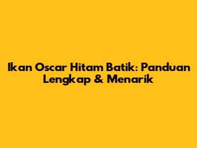Ikan Oscar Hitam Batik: Panduan Lengkap & Menarik