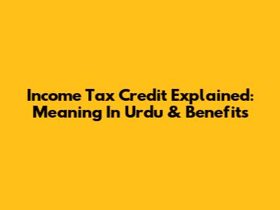 Income Tax Credit Explained: Meaning In Urdu & Benefits