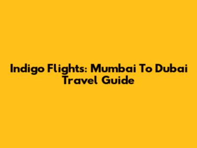 Indigo Flights: Mumbai To Dubai Travel Guide