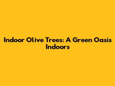 Indoor Olive Trees: A Green Oasis Indoors