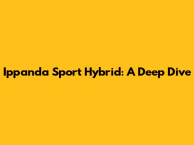 Ippanda Sport Hybrid: A Deep Dive