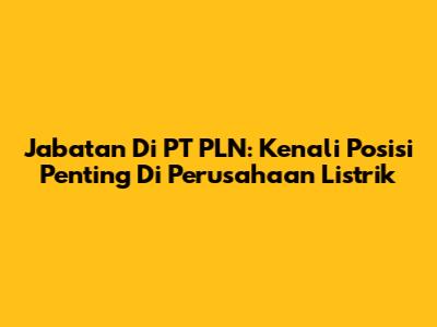Jabatan Di PT PLN: Kenali Posisi Penting Di Perusahaan Listrik