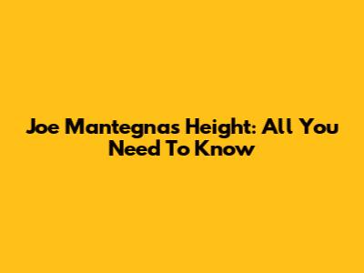 Joe Mantegna's Height: All You Need To Know