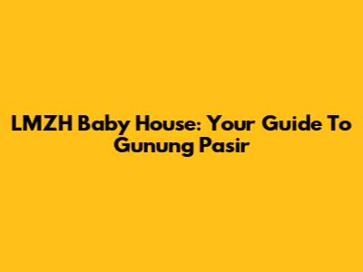 LMZH Baby House: Your Guide To Gunung Pasir