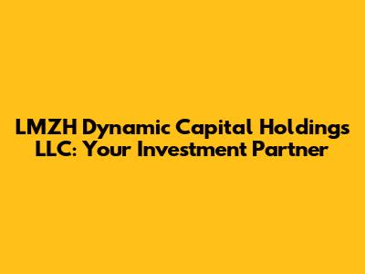 LMZH Dynamic Capital Holdings LLC: Your Investment Partner