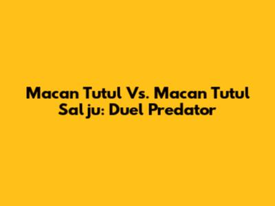 Macan Tutul Vs. Macan Tutul Salju: Duel Predator