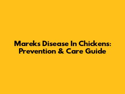 Marek's Disease In Chickens: Prevention & Care Guide