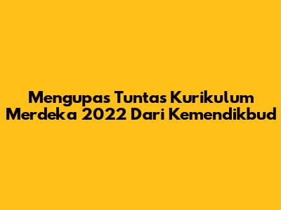Mengupas Tuntas Kurikulum Merdeka 2022 Dari Kemendikbud