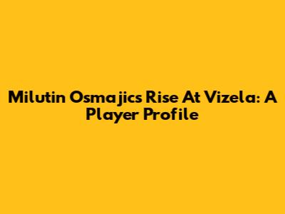 Milutin Osmajic's Rise At Vizela: A Player Profile