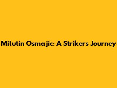 Milutin Osmajic: A Striker's Journey