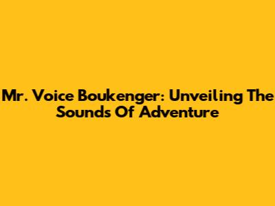 Mr. Voice Boukenger: Unveiling The Sounds Of Adventure