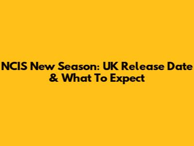 NCIS New Season: UK Release Date & What To Expect