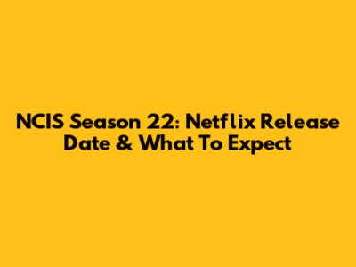 NCIS Season 22: Netflix Release Date & What To Expect