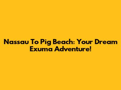 Nassau To Pig Beach: Your Dream Exuma Adventure!