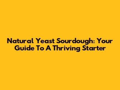 Natural Yeast Sourdough: Your Guide To A Thriving Starter