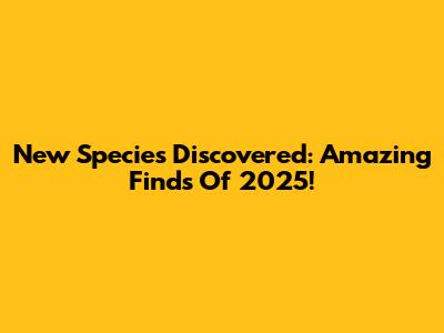 New Species Discovered: Amazing Finds Of 2025!