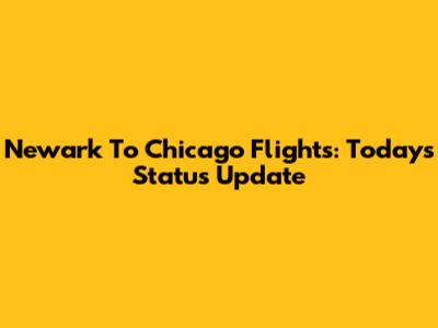 Newark To Chicago Flights: Today's Status Update