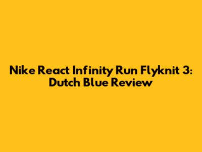Nike React Infinity Run Flyknit 3: Dutch Blue Review