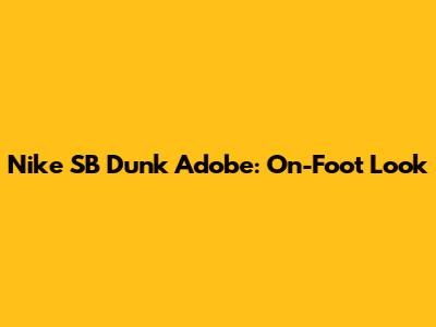 Nike SB Dunk Adobe: On-Foot Look