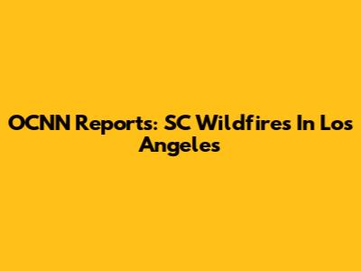 OCNN Reports: SC Wildfires In Los Angeles