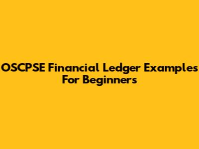 OSCPSE Financial Ledger Examples For Beginners