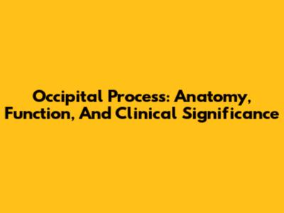 Occipital Process: Anatomy, Function, And Clinical Significance