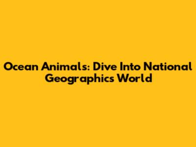 Ocean Animals: Dive Into National Geographic's World