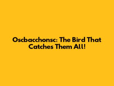 Oscbacchonsc: The Bird That Catches Them All!
