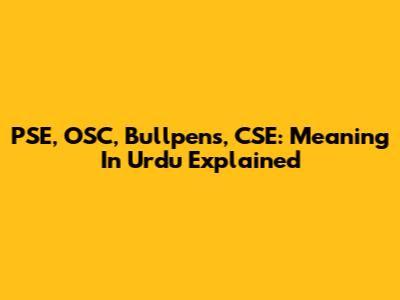 PSE, OSC, Bullpens, CSE: Meaning In Urdu Explained
