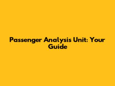 Passenger Analysis Unit: Your Guide