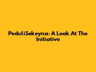 PeduliSekeyna: A Look At The Initiative