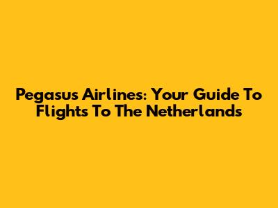Pegasus Airlines: Your Guide To Flights To The Netherlands