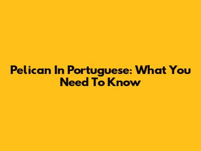 Pelican In Portuguese: What You Need To Know