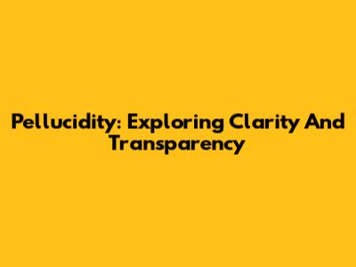 Pellucidity: Exploring Clarity And Transparency